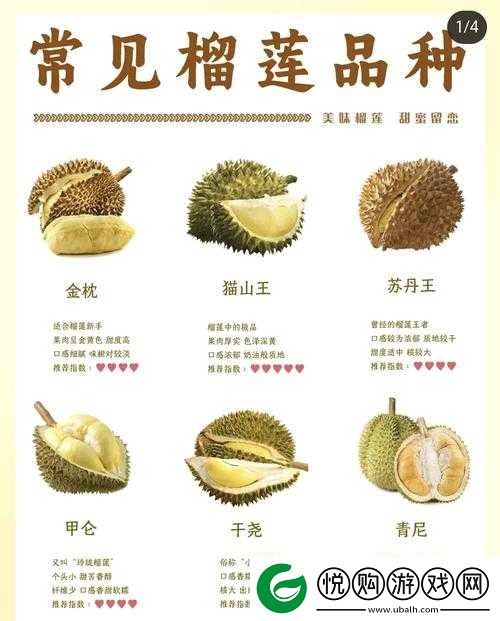 豆奶富二代榴莲草莓丝瓜