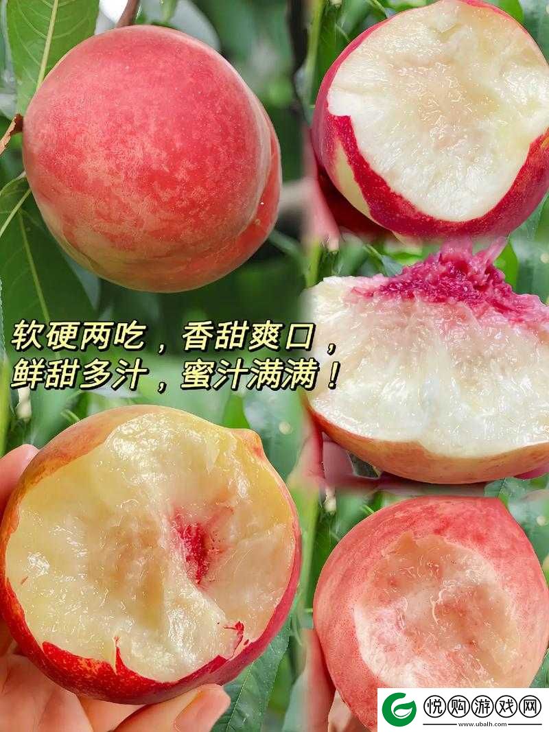 蜜桃图片区