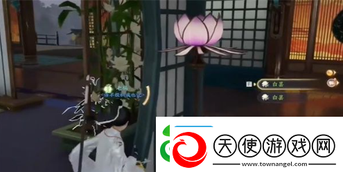 射雕手游白昙夜幽在哪