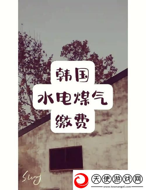 好看的韩国三色电费