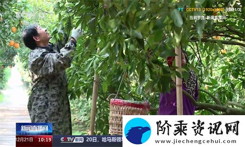v3tv下载