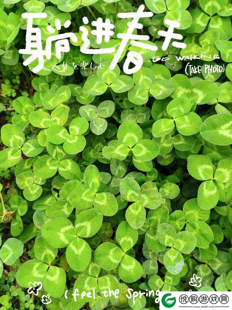 三叶草的春天