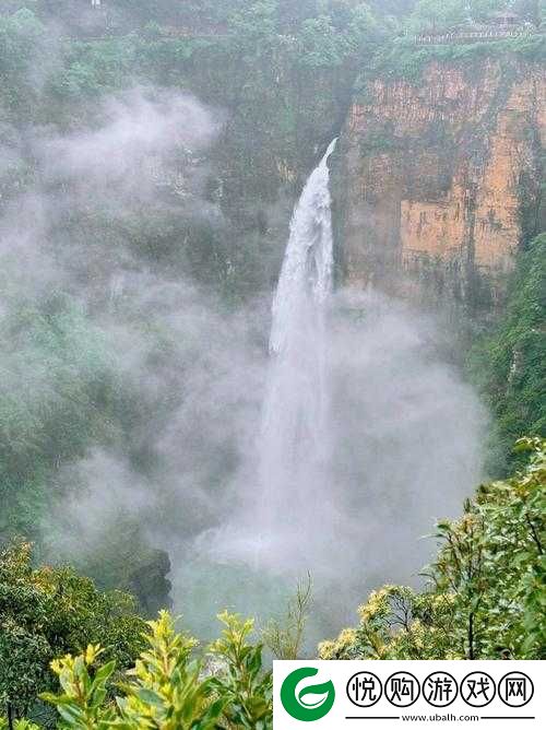 手慢慢游走往下穿过丛林探索神秘自然世界的奇妙之旅