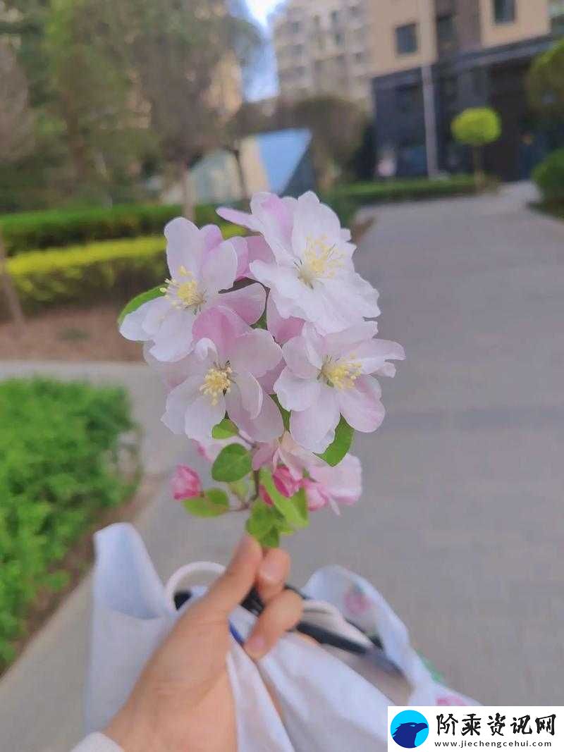 处女摘花