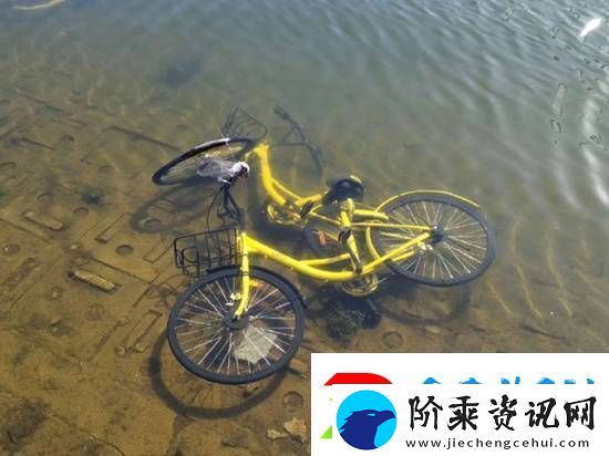 共享单车被丢河里每月可捞数百辆