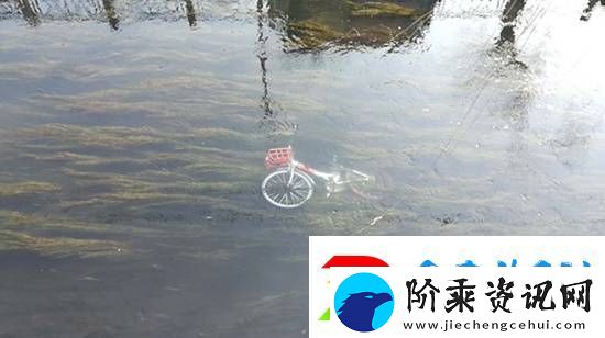 共享单车被丢河里每月可捞数百辆
