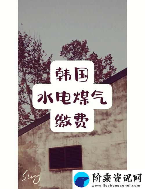 好看的韩国三色电费政策
