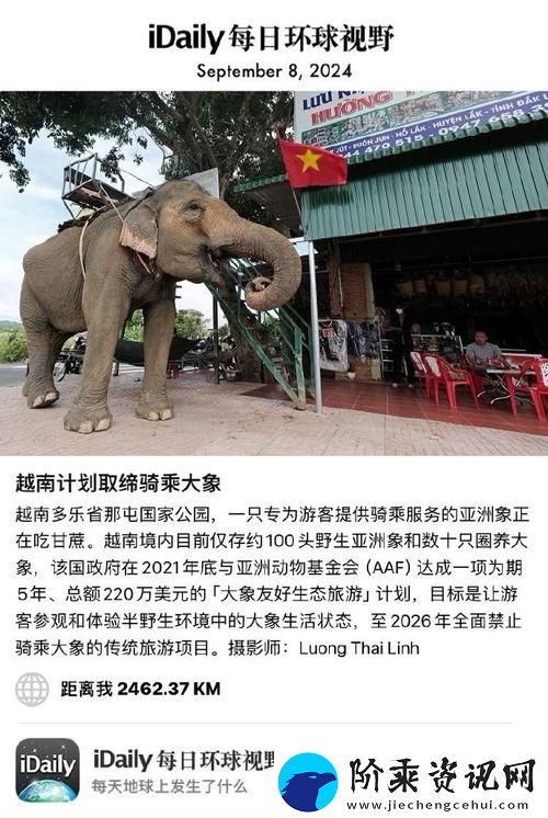 大象2024最新永久名大全