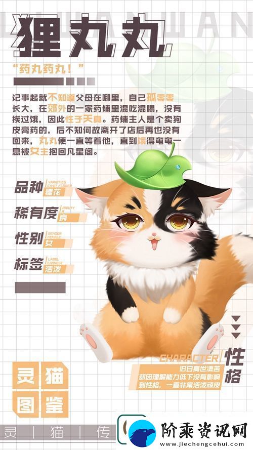 灵猫传狸丸丸属性图鉴