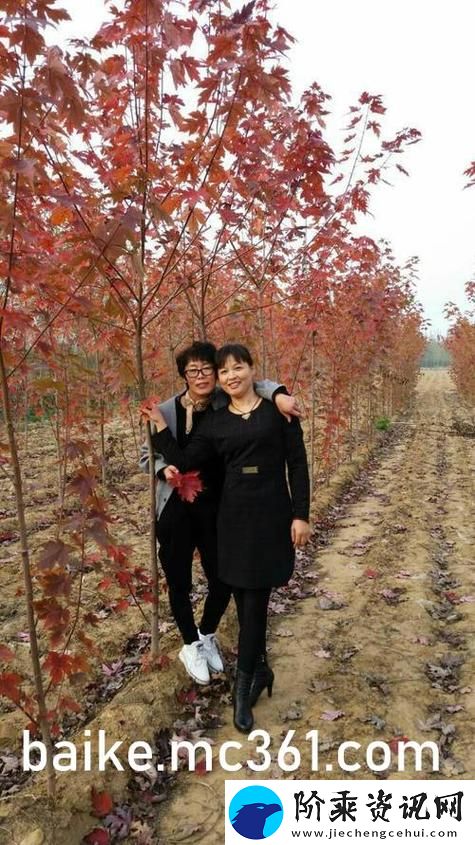 无敌神马影视影院在线
