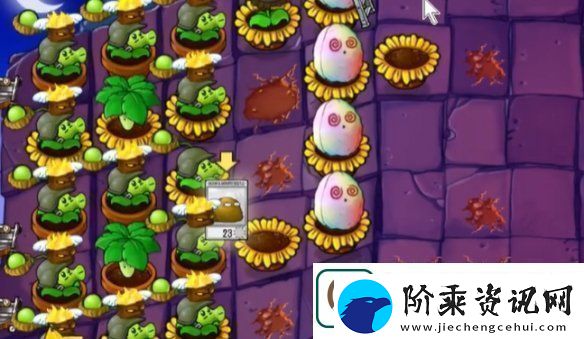 植物大战僵尸抽卡版冒险模式6
