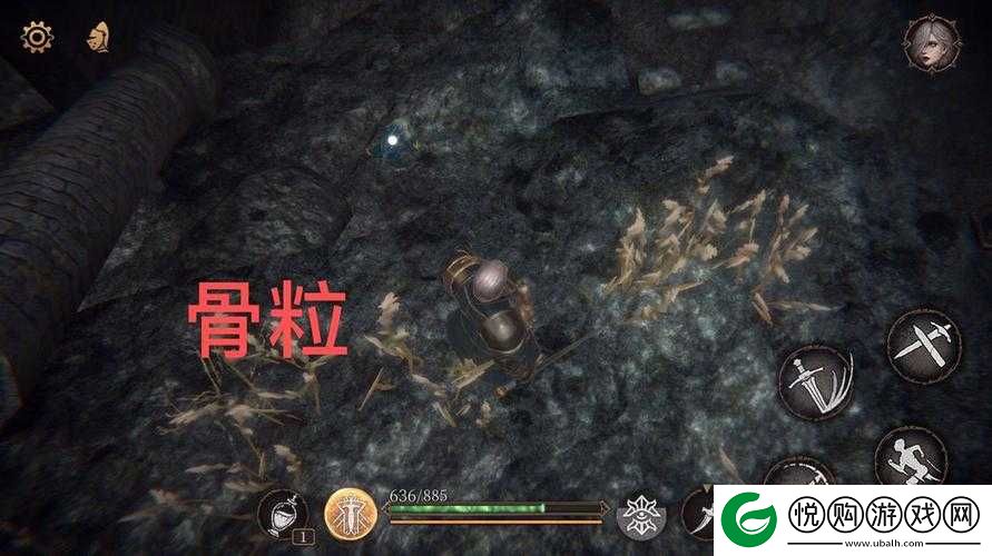 帕斯卡契约第三章深入探索，揭秘神秘赫吉青蛙的隐秘藏身之所
