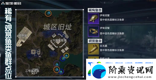 星球重启稀有鱼群怎么获得