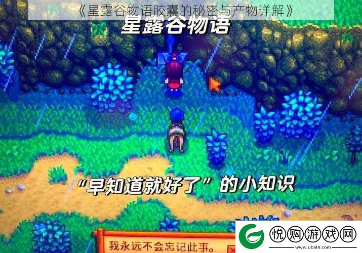 星露谷物语胶囊的秘密与产物详解