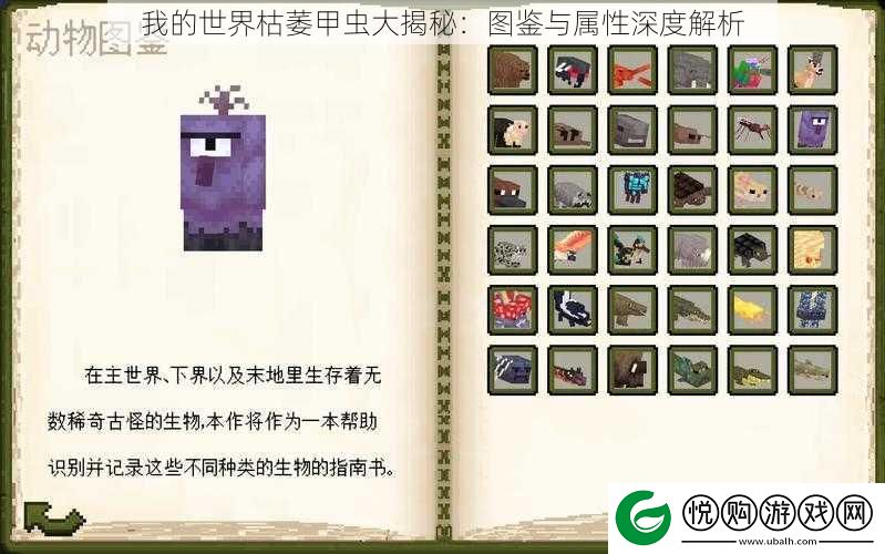 我的世界枯萎甲虫大揭秘