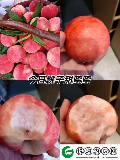 蜜桃站www难道不值得一试吗