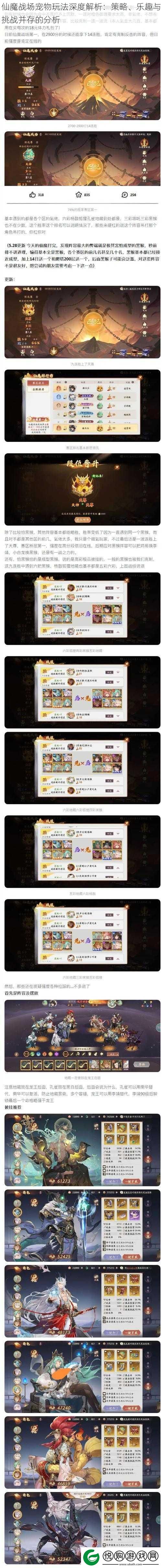 仙魔战场宠物玩法深度解析
