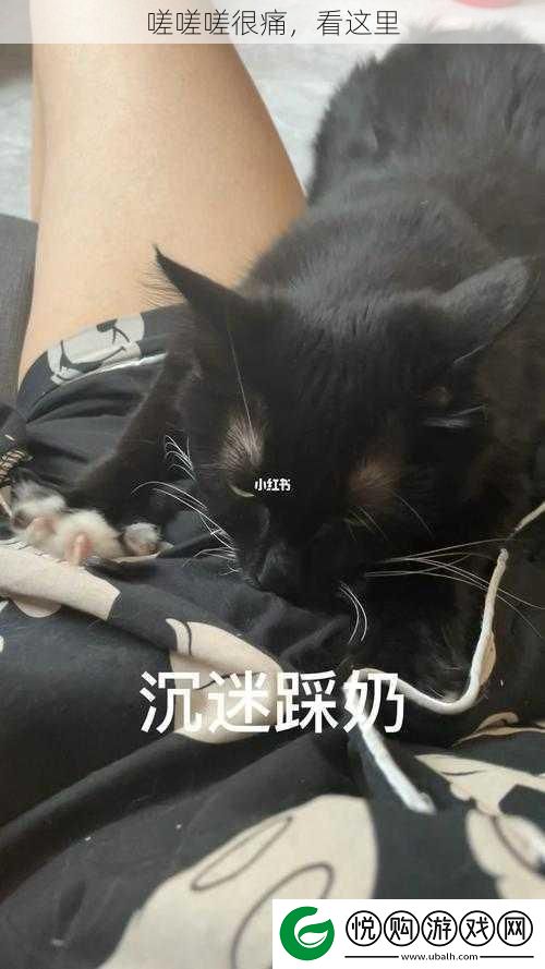 嗟嗟嗟很痛