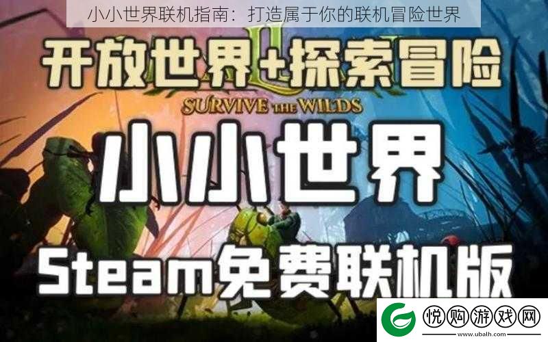 小小世界联机指南