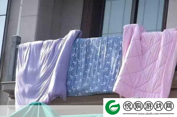 揭秘！被子的太阳味