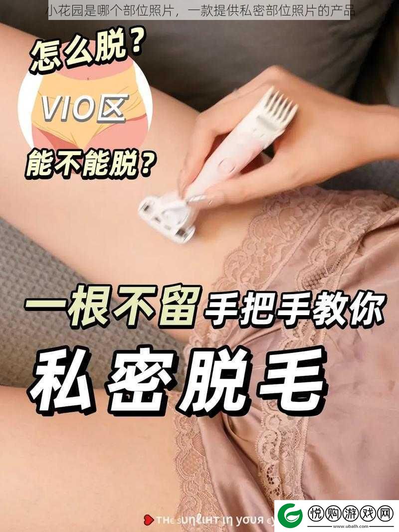 小花园是哪个部位照片
