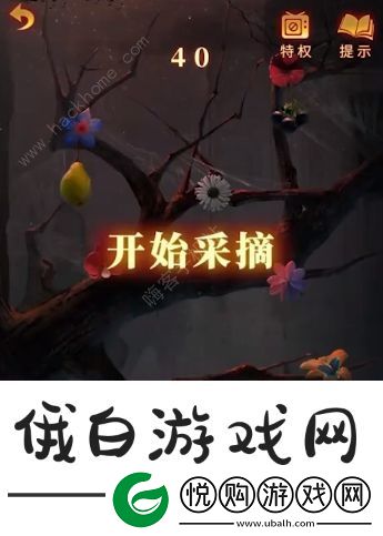 无间梦境水果采摘顺序是什么