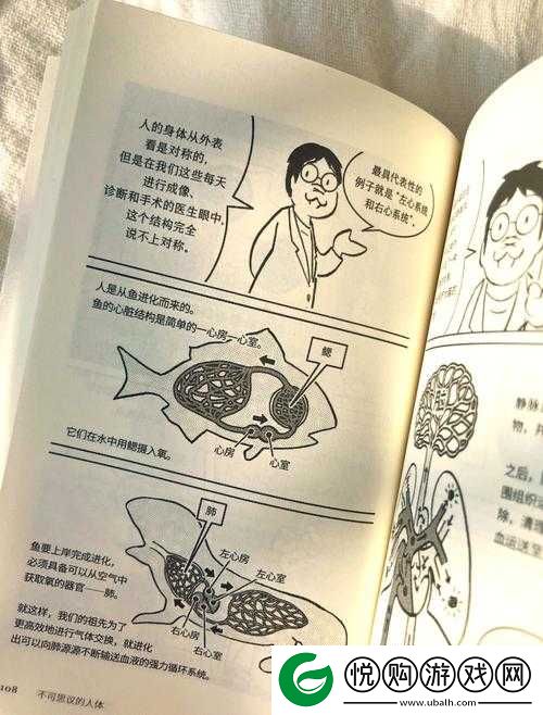 体内精汇编 6