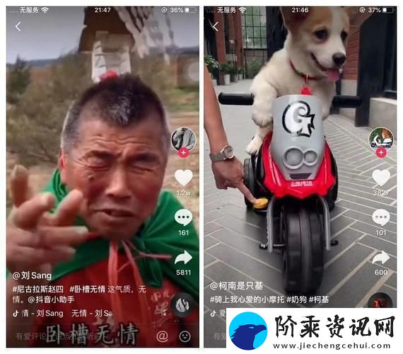 老太太BGMBGMBGM性