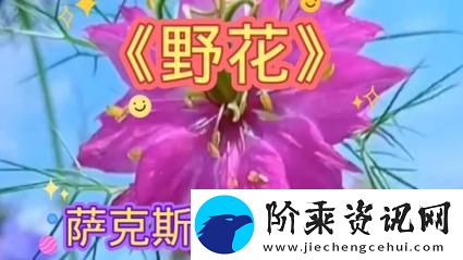 野花韩国高清完整版在线视频