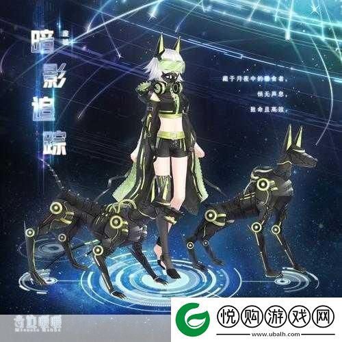 揭秘暗影追踪