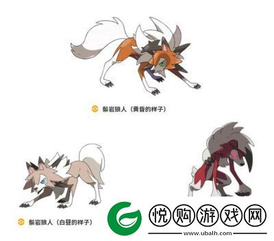 鬃岩狼人及其四个形态