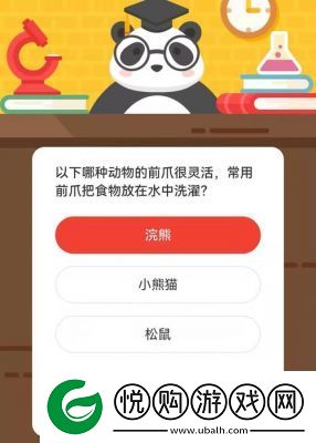 优化版本
