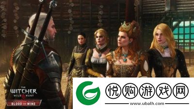 巫师3DLC安装无响应