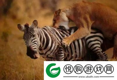 优化版本