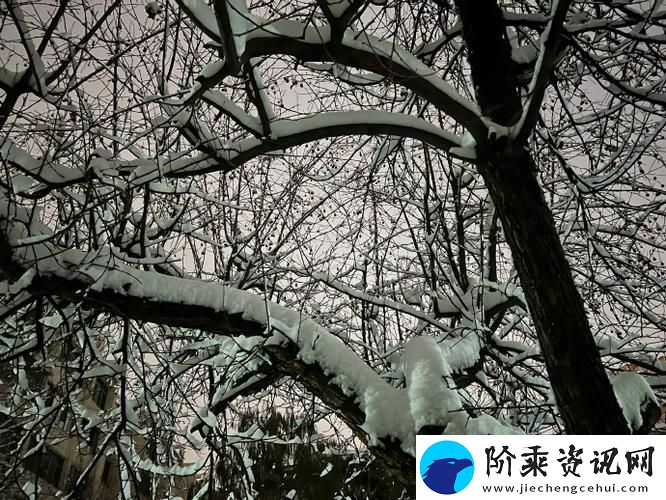 小雪爽⋯好大⋯快⋯深点的奇幻冬日柯林资讯