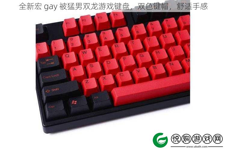 全新宏