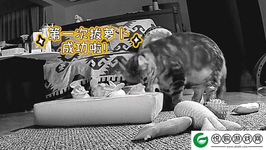 我的二人世界