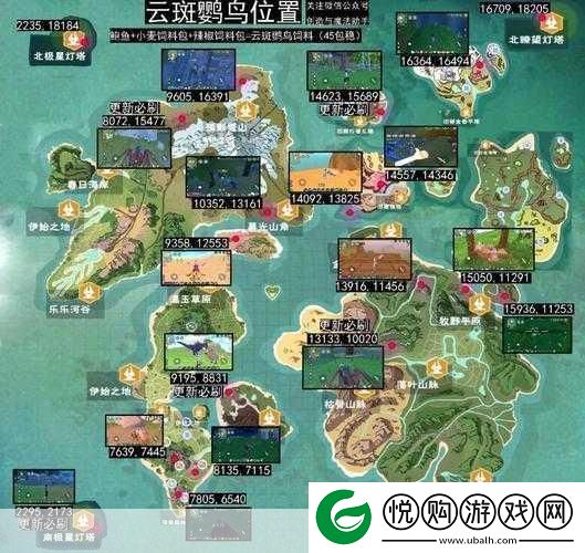 创造与魔法揭秘