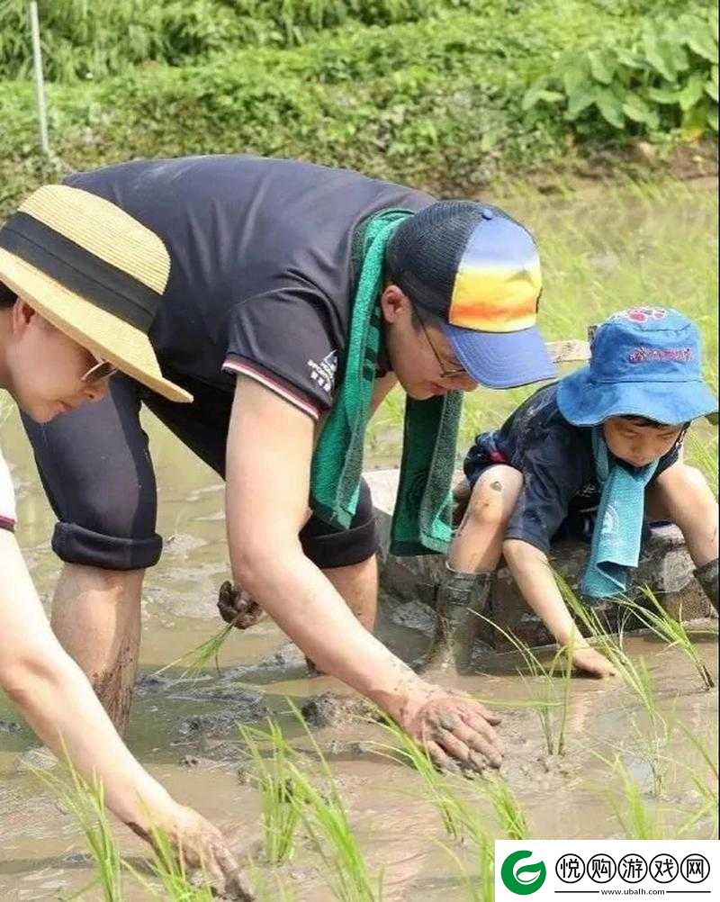夫妻插秧技巧大全