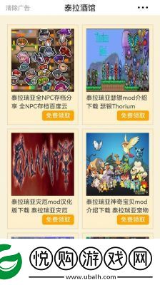 泰拉瑞亚游戏辅助工具选择与风险预防