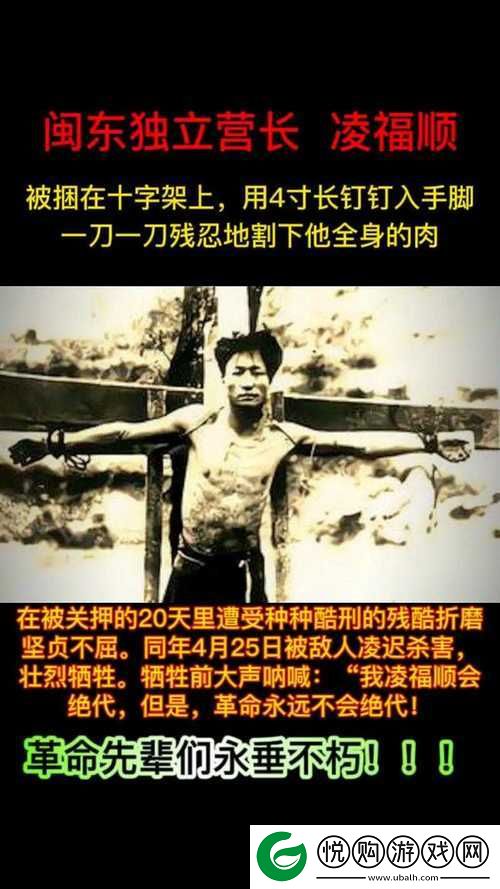 探究一杆大枪草全家