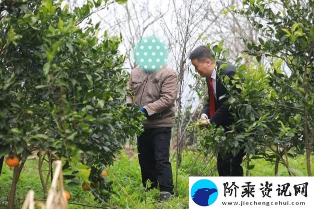 农村人乱弄一区二区的处罚方式