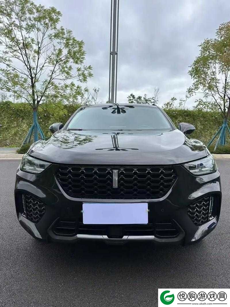 WEYVV5 国产的 SUV 领袖
