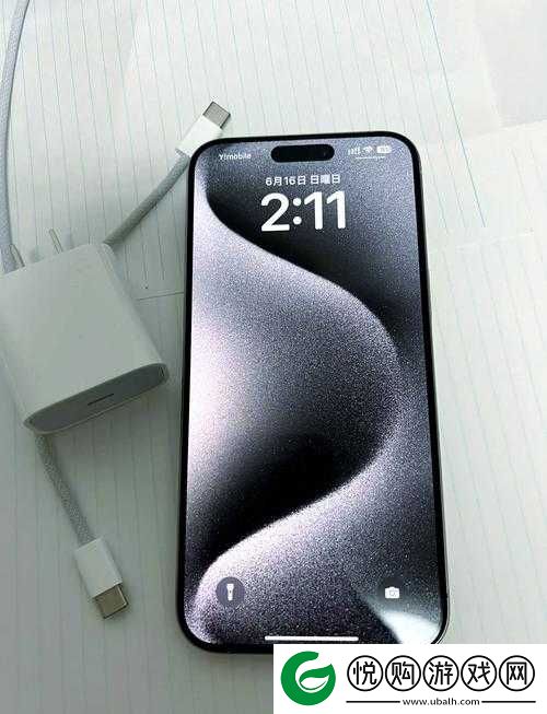 日本 iphonepromax70 手机