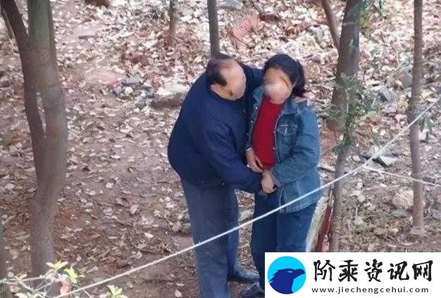 公园小树中老年交易图片