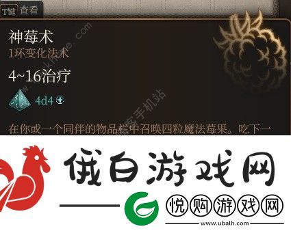 博德之门3低环法术哪些好