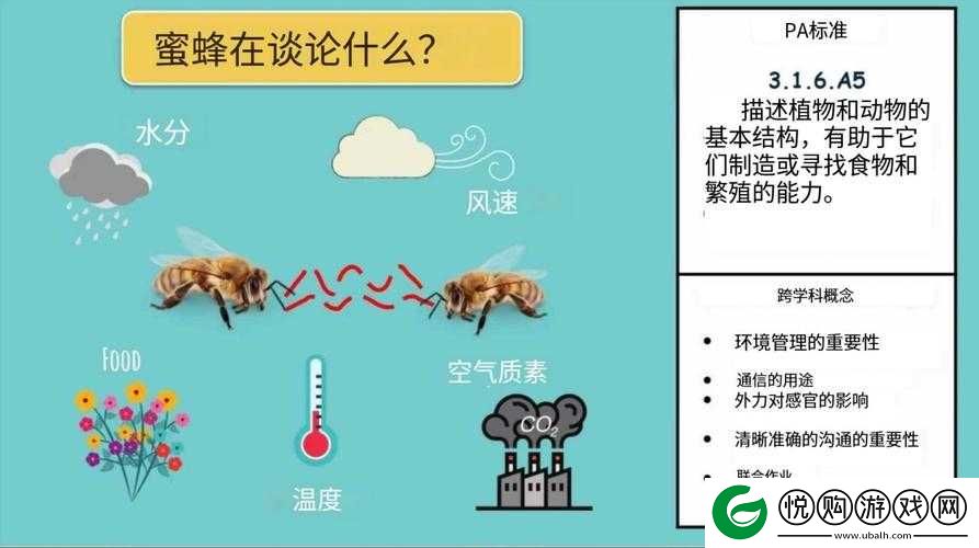 关于炼金术蜜蜂合成大揭秘