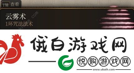博德之门3低环法术哪些好