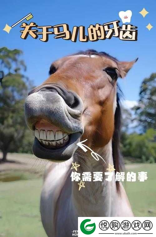 随着马儿的奔跑而深入