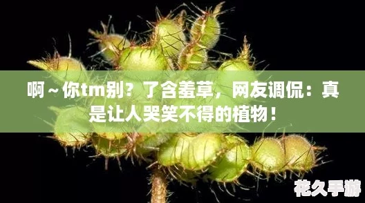 啊～你tm别